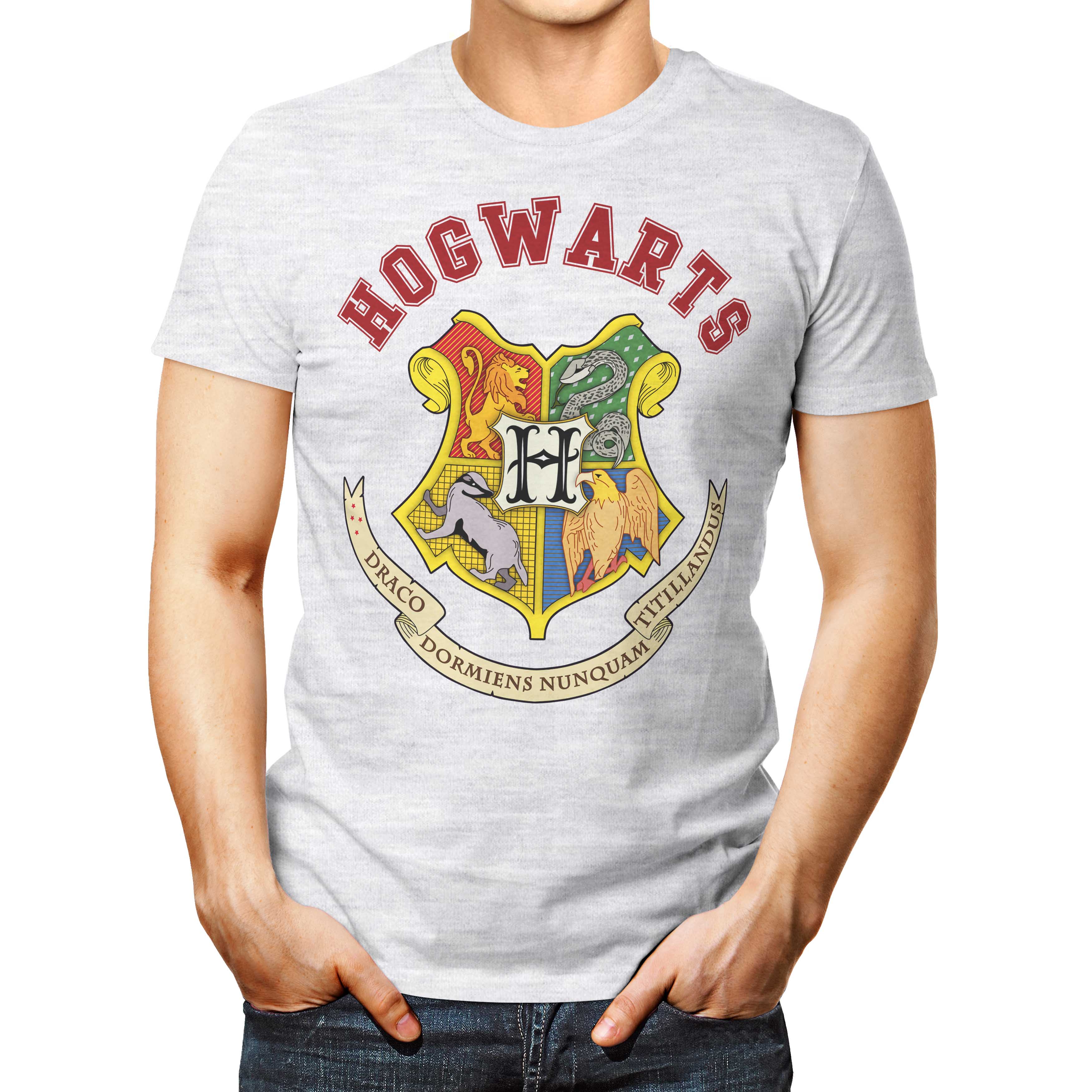 Hogwarts School