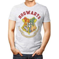 Hogwarts School